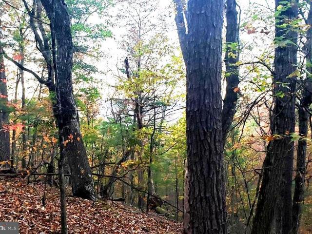 Land for sale in Virginia