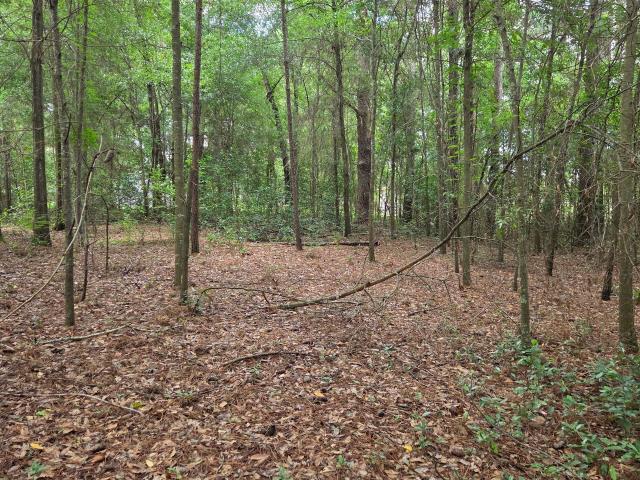 Land for sale in Hawkinsville, Georgia