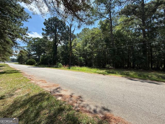 Land for sale in Hawkinsville, Georgia