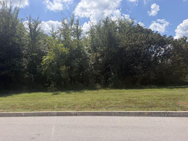 Land for sale in Tennessee