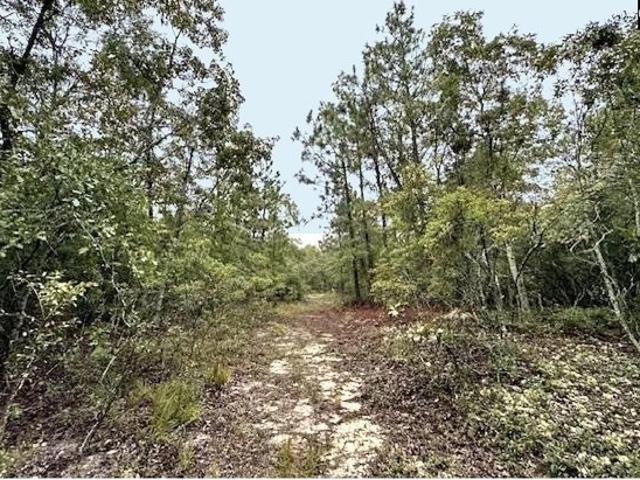 Land for sale in Gaston, South Carolina