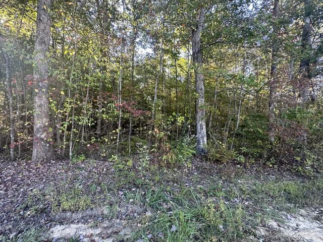 Land for sale in Tennessee