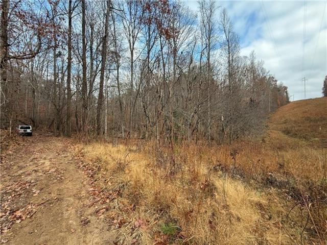 Land for sale in Dahlonega, Georgia