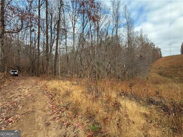Land for sale in Dahlonega, Georgia