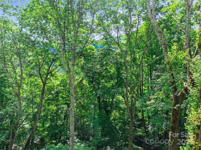 Land for sale in Yancey, North Carolina