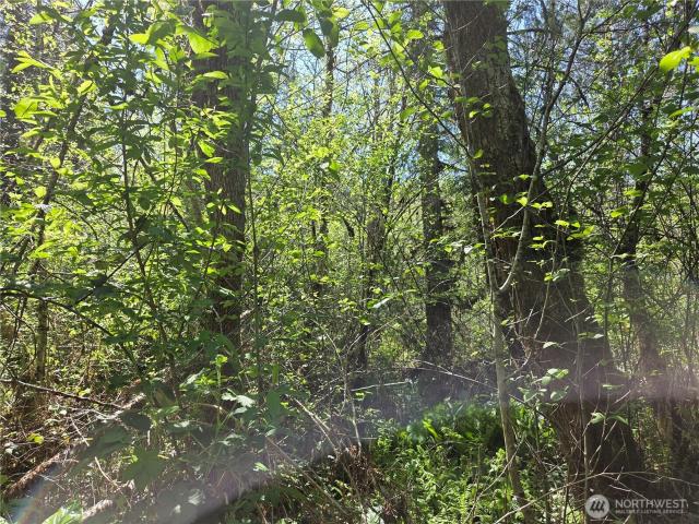 Land for sale in Glenoma, Washington