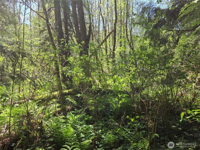 Land for sale in Glenoma, Washington