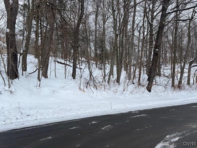 Land for sale in Cayuga, New York