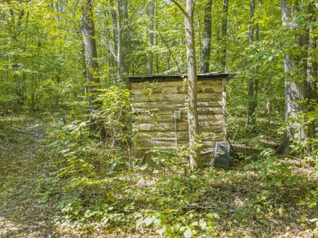 Land for sale in Parsons, West Tennessee