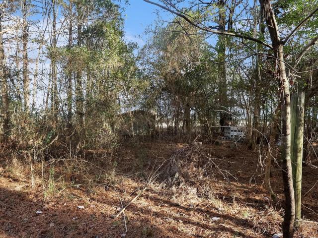 Land for sale in Salemburg, North Carolina
