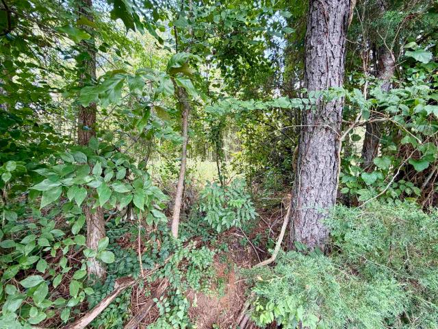 Land for sale in Tennessee