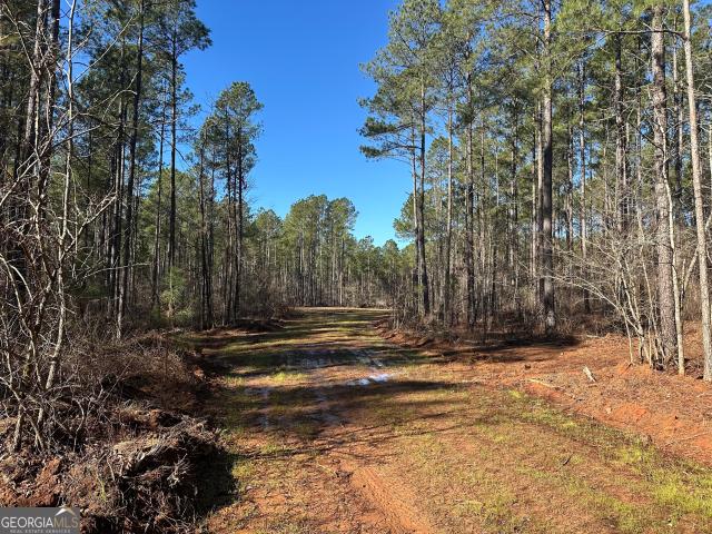 Land for sale in Watkinsville, Georgia