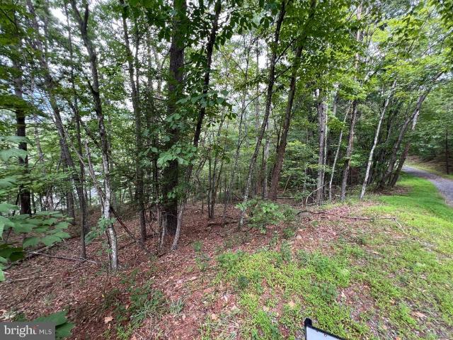 Land for sale in Virginia