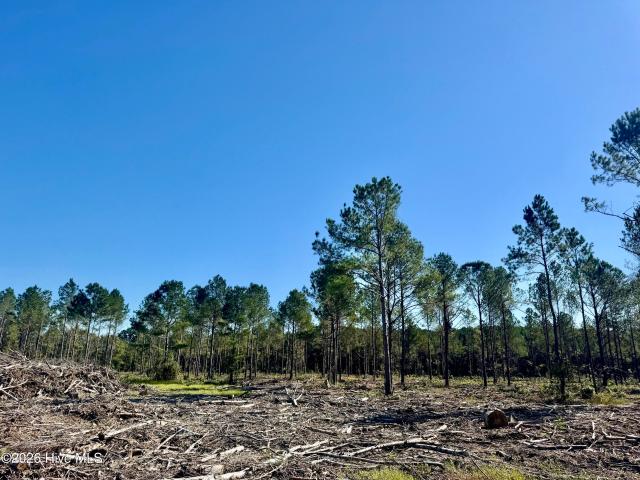 Land for sale in Garland, North Carolina