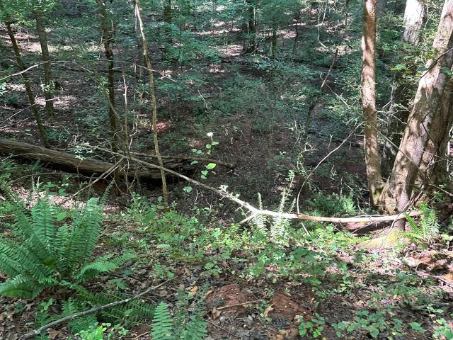 Land for sale in Madison, Georgia