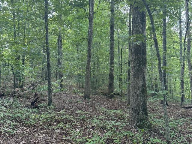 Ranch for sale in Madison, Georgia