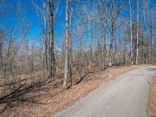 Land for sale in Tennessee