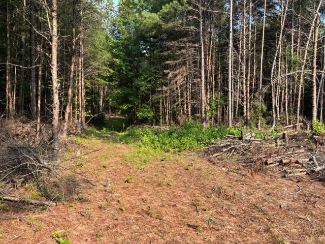 Land for sale in Virginia