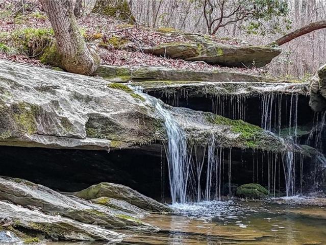 Land for sale in Buchanan, Georgia