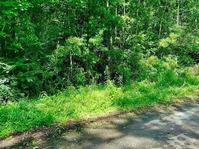 Land for sale in Jasper, Texas