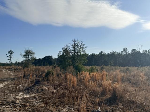 Land for sale in Aiken, South Carolina