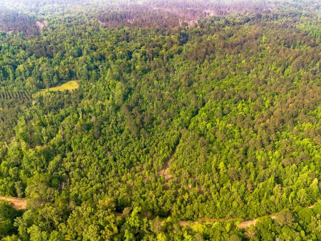 Land for sale in Millen, Georgia