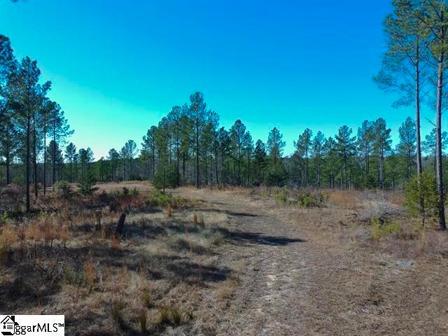 Land for sale in Pauline, South Carolina