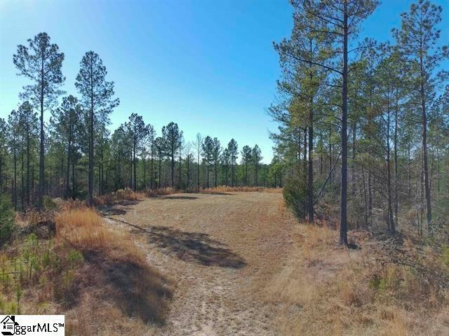 Land for sale in Pauline, South Carolina
