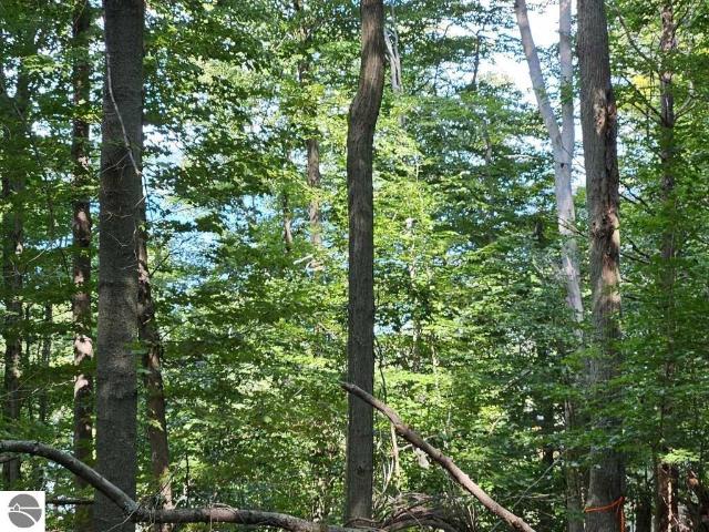 Land for sale in Pilgrim, Crystal Lake Township