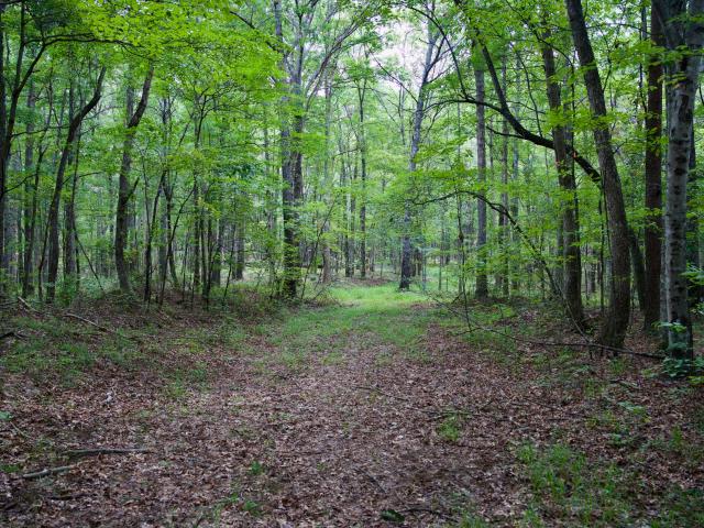 Land for sale in Tennessee