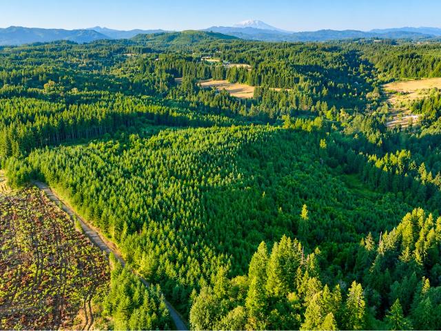Land for sale in La Center, Washington