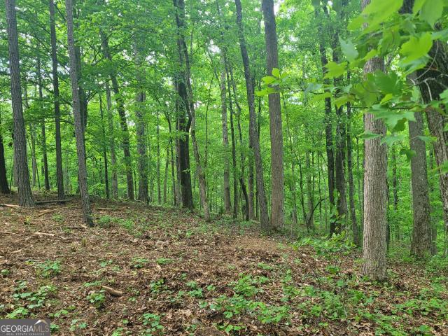 Land for sale in Jackson, Georgia