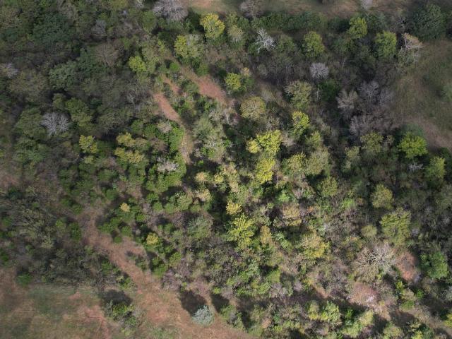 Land for sale in Tennessee