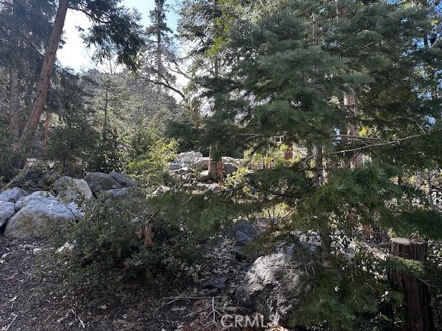 Land for sale in Forest Falls, California