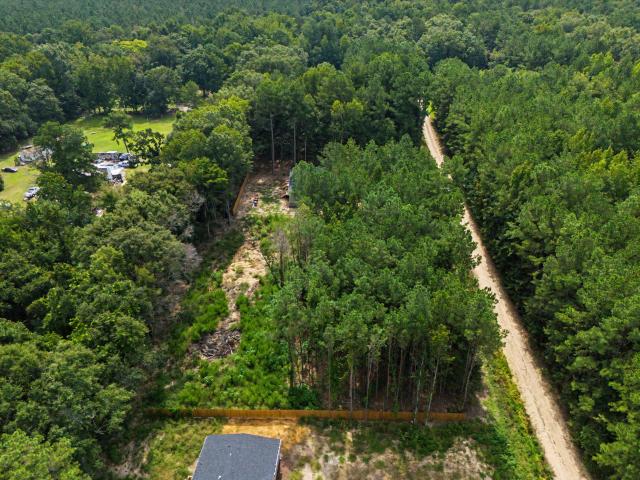 Land for sale in Eutawville, South Carolina