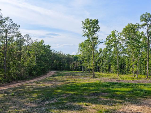Land for sale in Tennessee