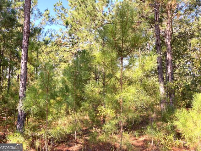 Land for sale in Cusseta, Georgia
