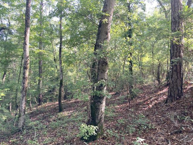 Property for sale in Cusseta, Georgia