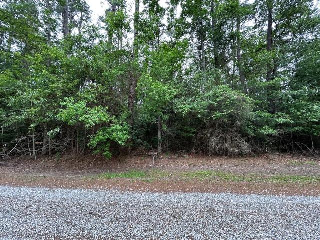 Land for sale in Mandeville, Louisiana