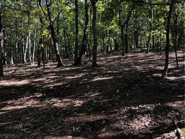 Land for sale in Jasper, Pickens County