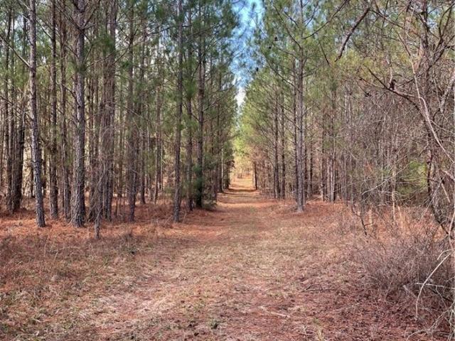 Land for sale in Screven, Georgia