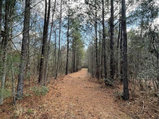 Land for sale in Screven, Georgia