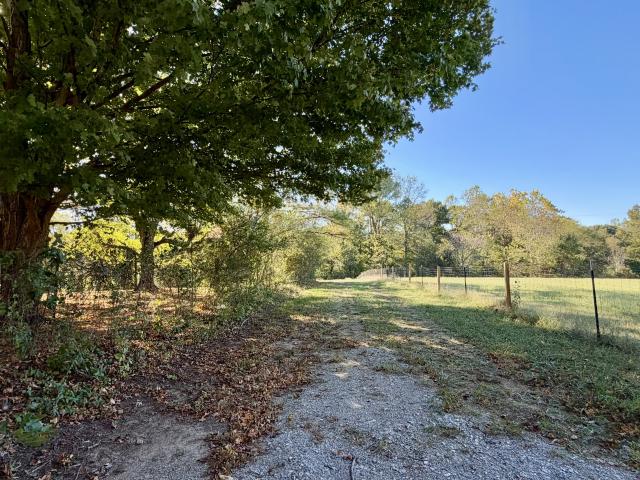 Land for sale in Loretto, Middle Tennessee
