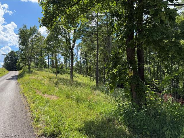 Land for sale in Ohio