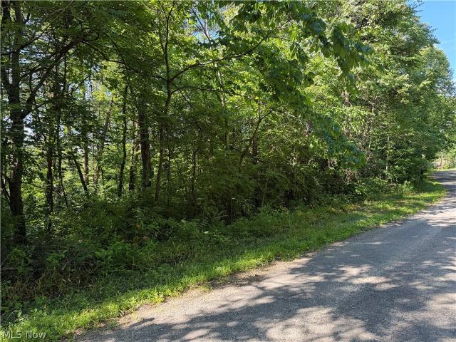 Land for sale in Ohio