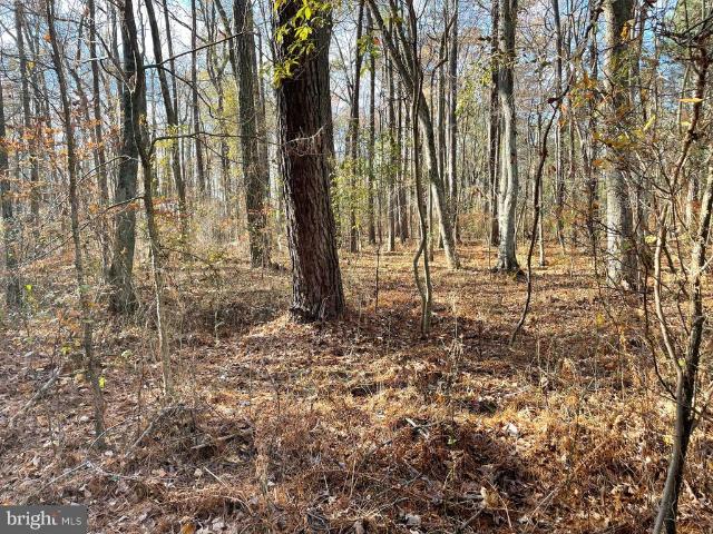 Land for sale in Princess Anne, Maryland