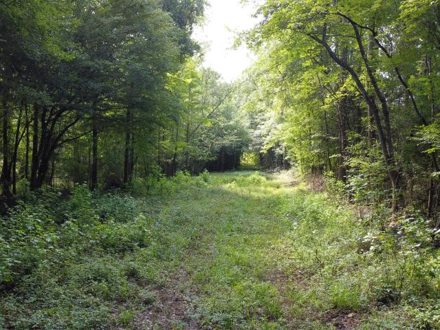 Land for sale in Mount Pisgah, Ridgeville