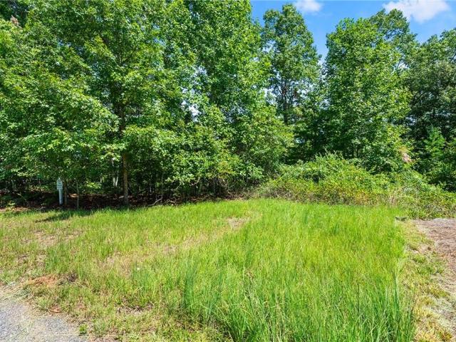 Land for sale in Dahlonega, Georgia