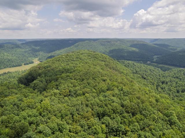 Farm for sale in Tennessee