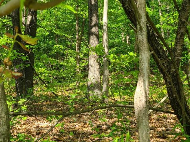Property for sale in Hannacroix, New York